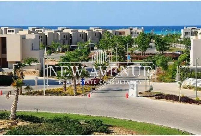 65924973 - Property Image 3