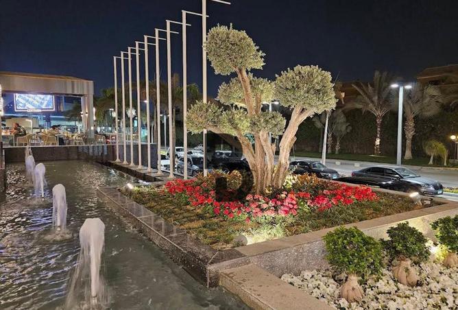 72175172 - صورة العقار 3