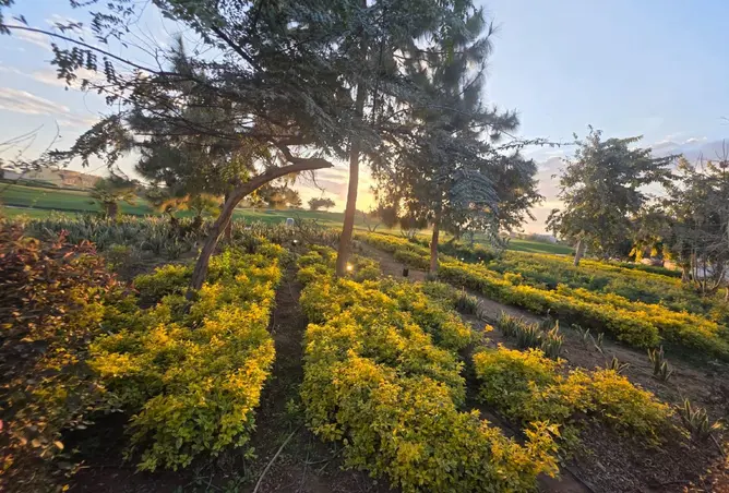 118810695 - صورة العقار 3