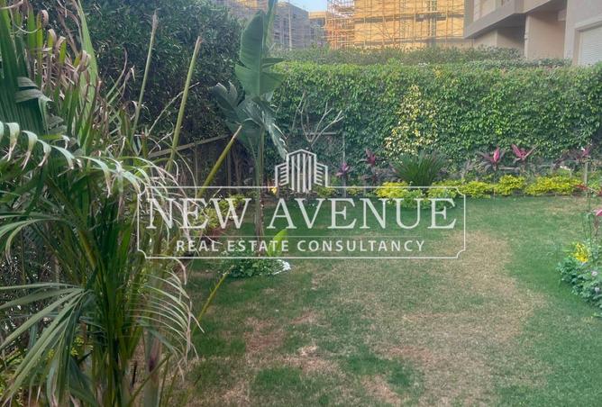 66432049 - Property Image 3