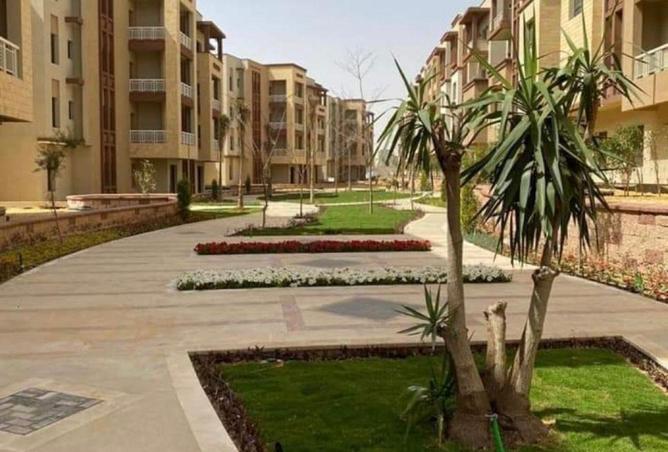 56997879 - Property Image 3