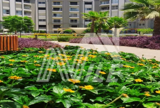 115716448 - صورة العقار 2