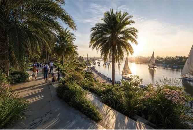 8566425 - صورة العقار 3