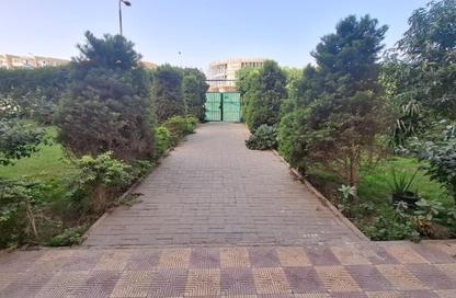 Apartment - 3 Bedrooms - 2 Bathrooms for rent in Rawdat Zayed - 12th District - Sheikh Zayed City - Giza