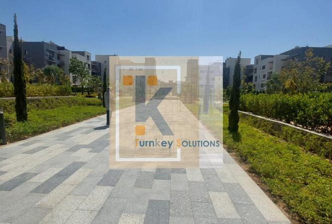 92980381 - Property Image 3