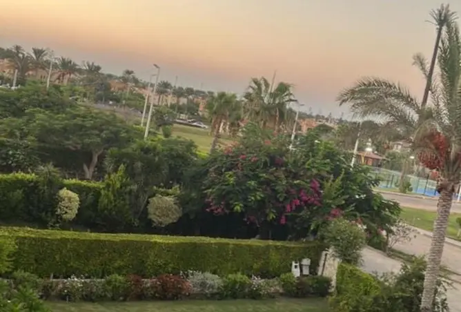 63886145 - صورة العقار 3