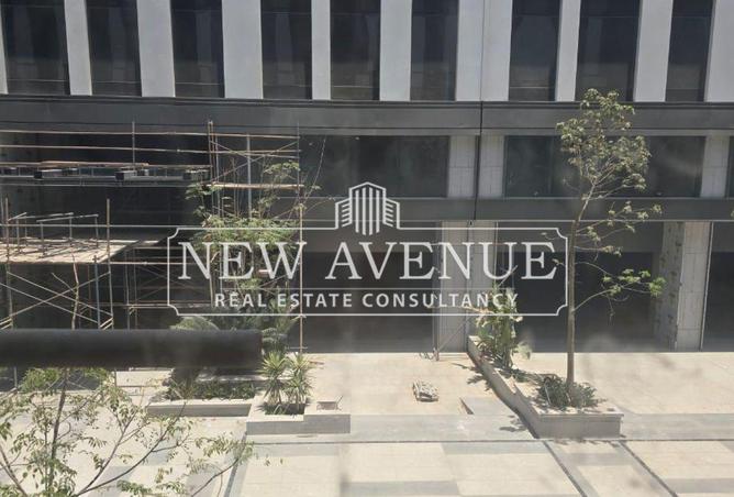 67741392 - Property Image 3