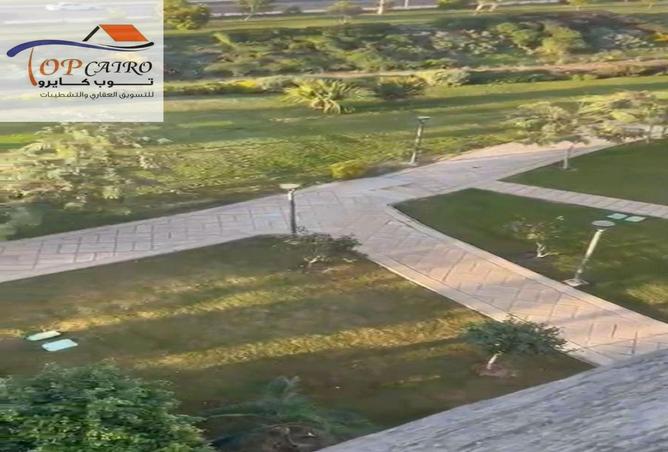 53726642 - صورة العقار 3