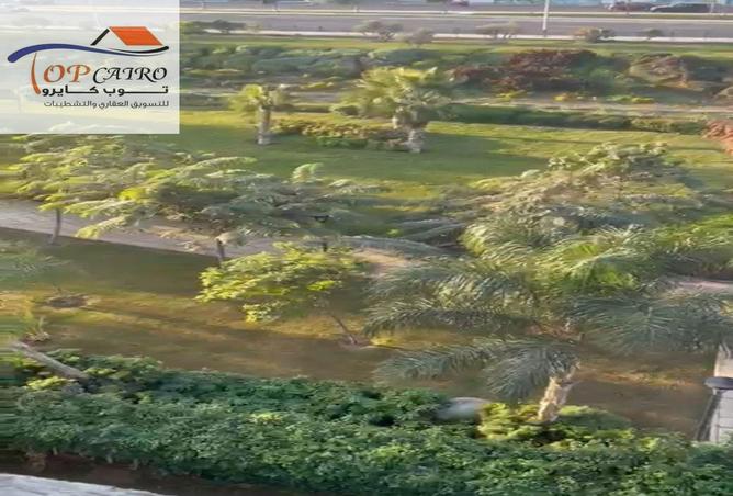 53726642 - صورة العقار 2