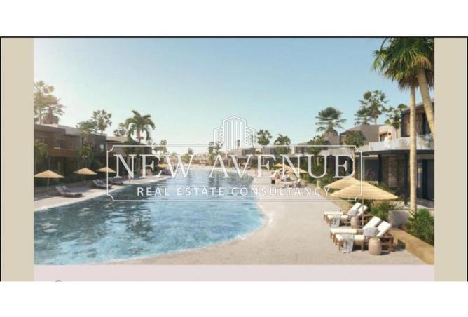 62648411 - Property Image 3