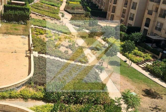 8554237 - صورة العقار 3