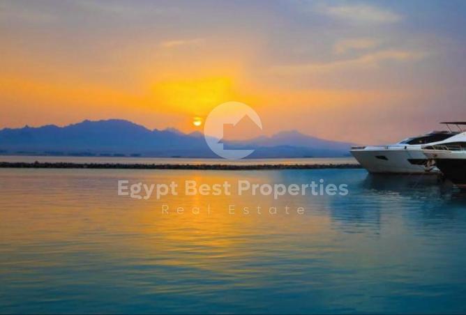 8706356 - الصورة الرئيسية للعقار