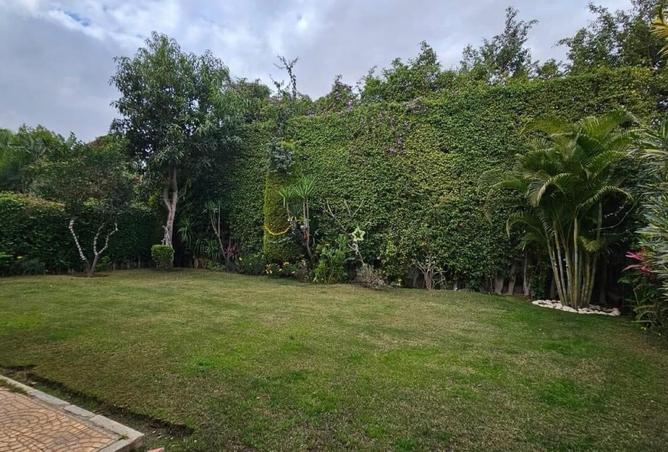 62406791 - Property Image 2