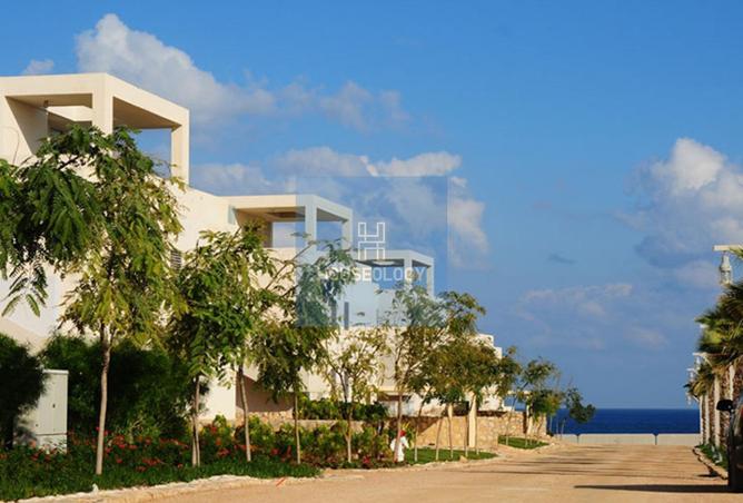 54749426 - صورة العقار 2