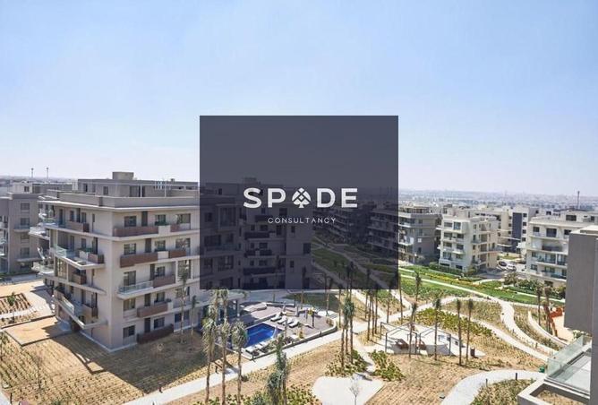 8509418 - Property Image 2