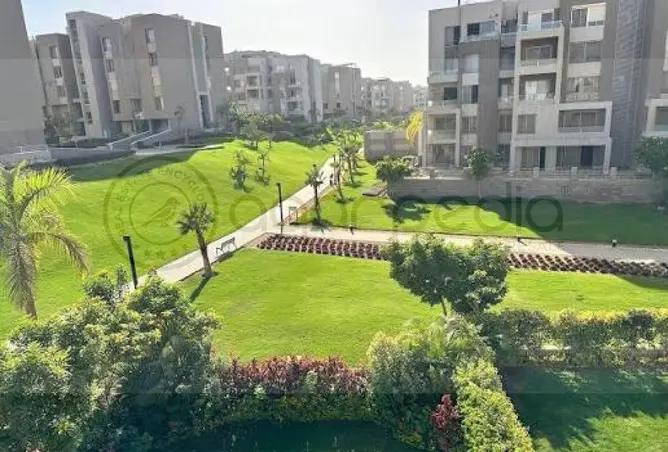 111024284 - صورة العقار 2