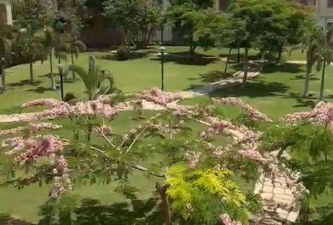 8453569 - الصورة الرئيسية للعقار