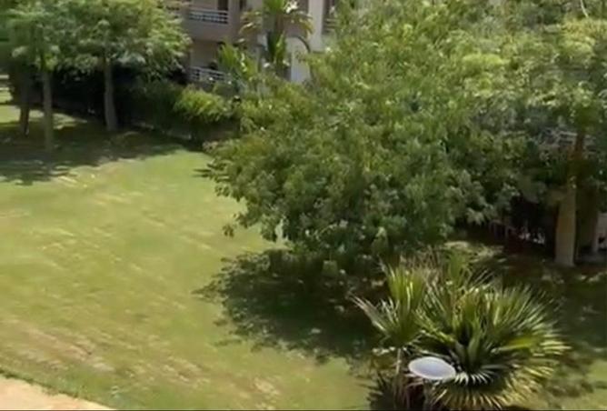 8453569 - صورة العقار 2