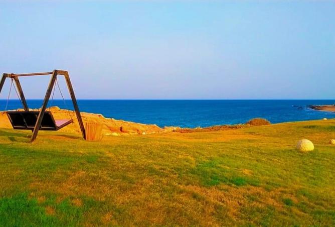 98009904 - صورة العقار 2