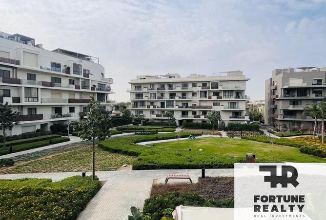 58245059 - Property Main Image