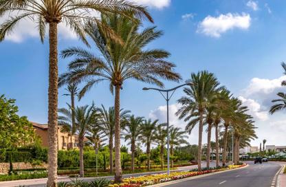 شاليه - 2 غرف نوم - 1 حمام للبيع في مراسي - سيدي عبد الرحمن - الساحل الشمالي شاليه - 2 غرف نوم - 1 حمام للبيع في مراسي - سيدي عبد الرحمن - الساحل الشمالي