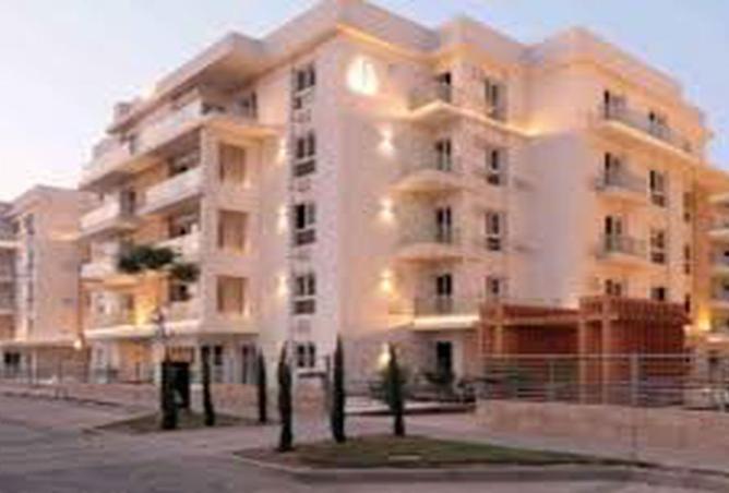 8232407 - Property Image 3