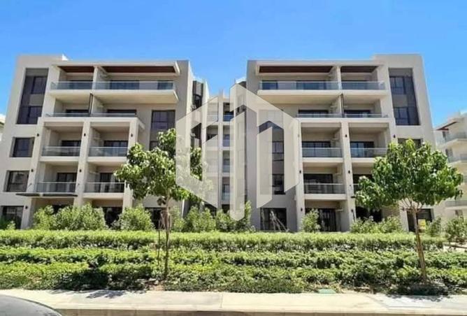 75679865 - Property Image 3