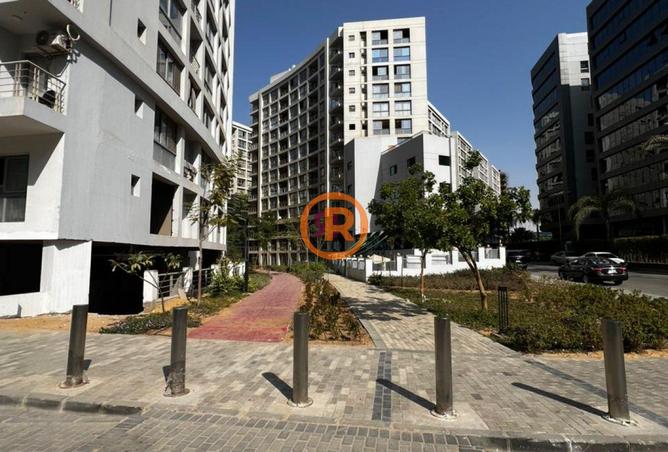 58242498 - صورة العقار 3