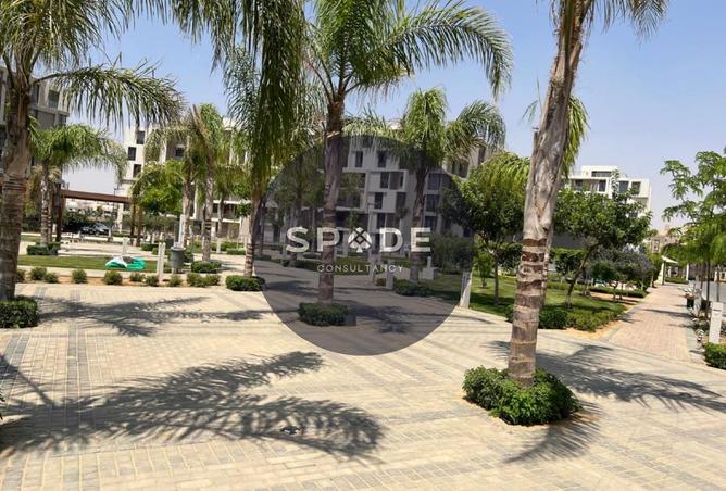 66169441 - Property Main Image