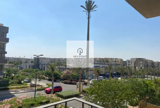 113252614 - Property Image 2