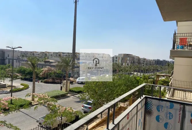113252614 - Property Image 3