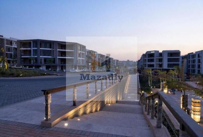 56991625 - Property Image 2