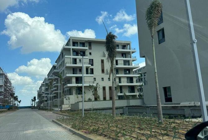 8542405 - Property Image 3