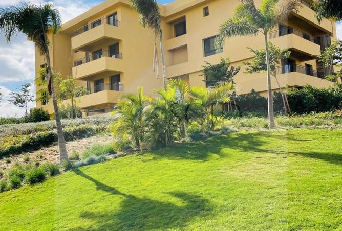 64637095 - Property Image 3