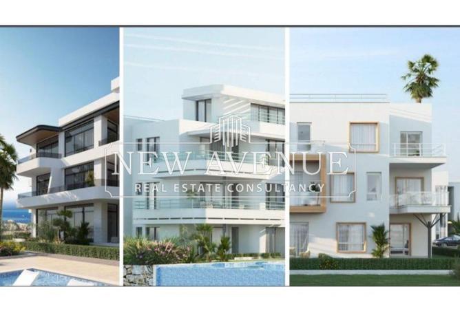 8677226 - Property Image 2