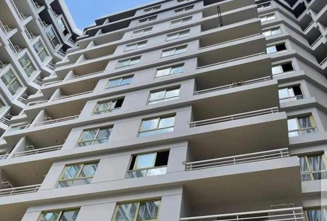 56498784 - Property Image 3