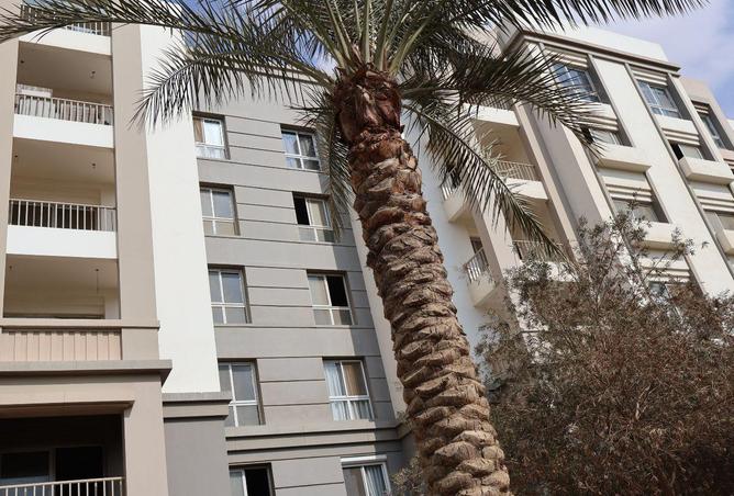 67740267 - Property Image 2