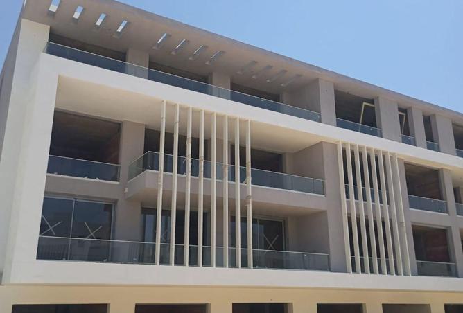 56248927 - Property Image 2