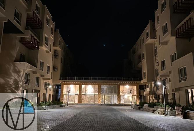 58742096 - Property Image 2