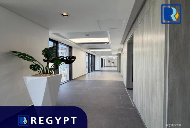 99391810 - Property Image 3