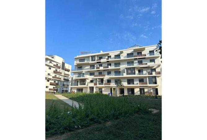 58999425 - صورة العقار 3