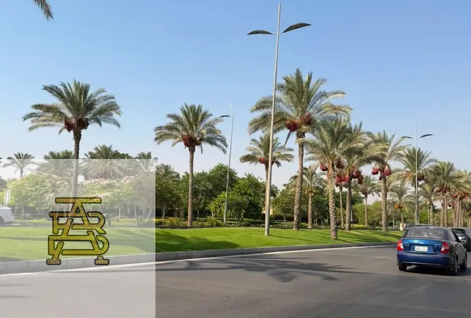 114613451 - صورة العقار 3