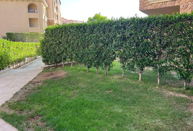 99756029 - Property Main Image