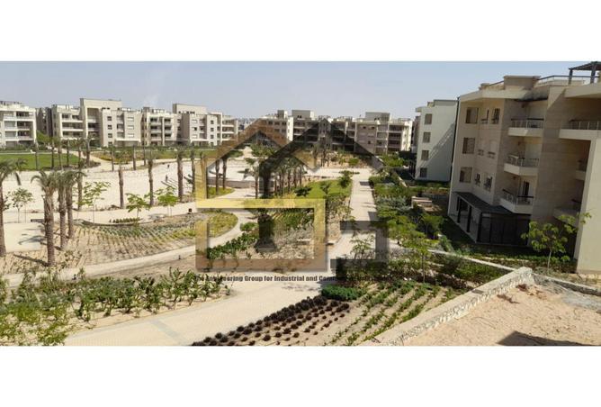 8570223 - Property Image 2