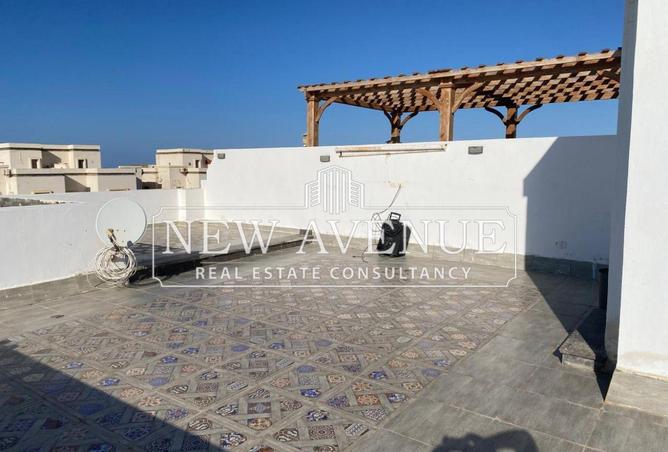 55008315 - Property Image 3