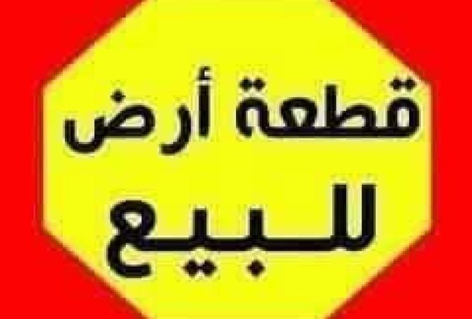 96586800 - صورة العقار 3
