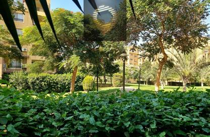 Apartment - 4 Bedrooms - 3 Bathrooms for sale in Privado - Madinaty - Cairo Apartment - 4 Bedrooms - 3 Bathrooms for sale in Privado - Madinaty - Cairo