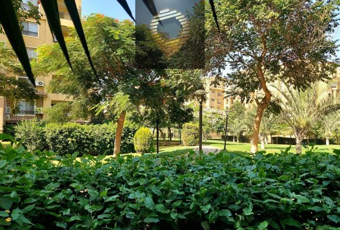 81834661 - الصورة الرئيسية للعقار