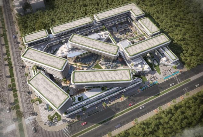 55501654 - Property Image 2