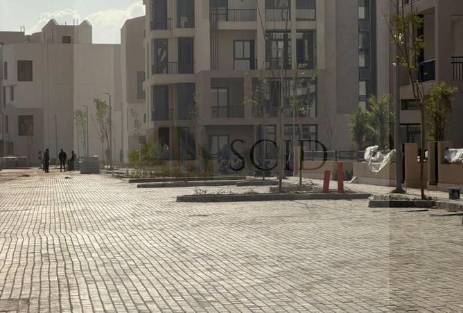 66969040 - Property Image 2